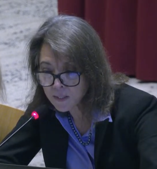 A photo of Lyn Redwood, a middle-aged woman with glasses seated at a table and reading from a laptop.